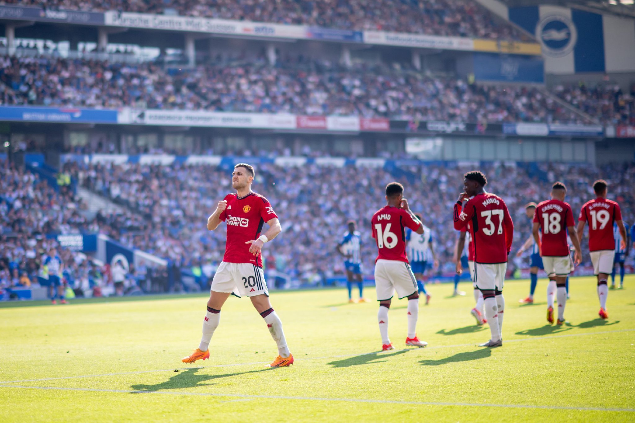 海岸带来了 海岸带来了